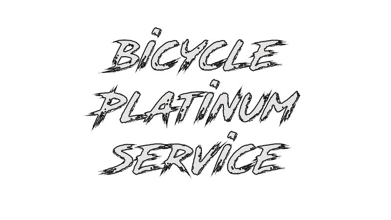 Bicycle Platinum Service title graphic for premium complete bike overhaul package - eMotoX Sports
