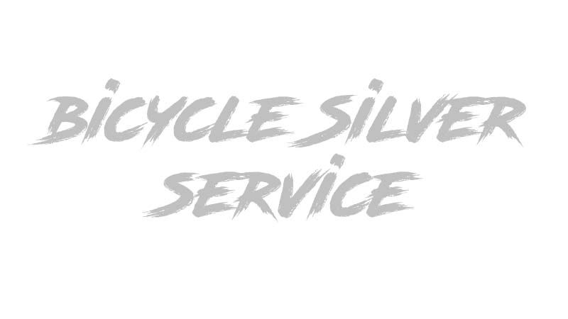 Bicycle Silver Service title graphic - eMotoX Sports