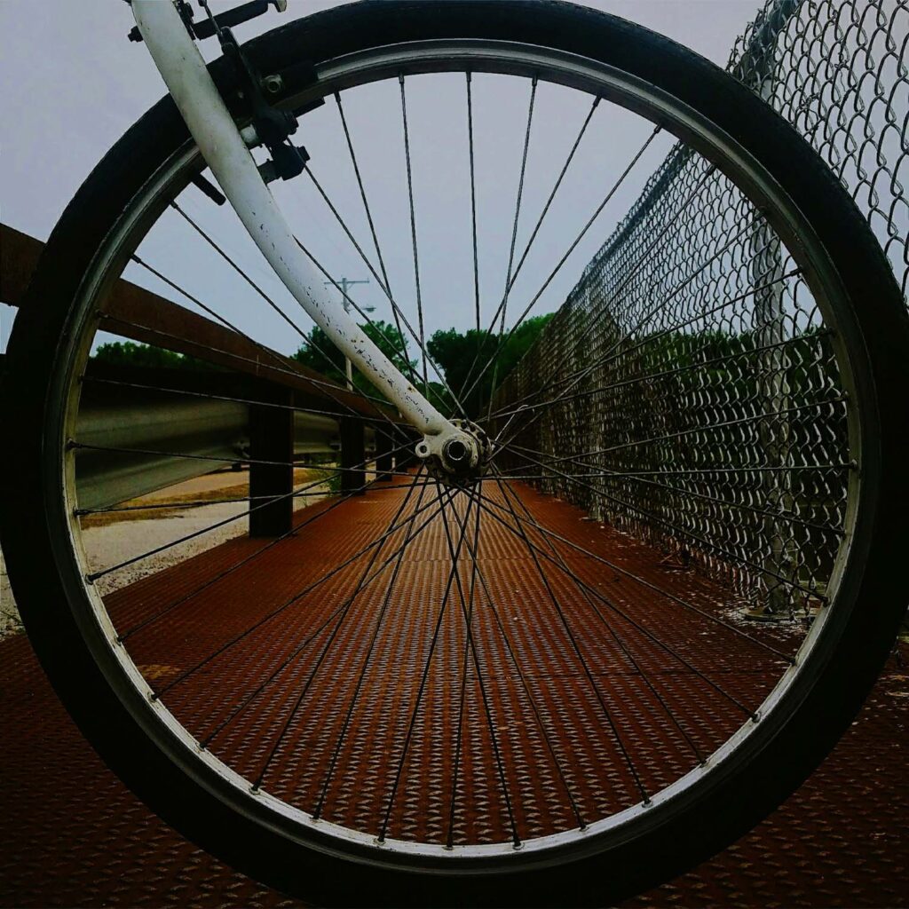 Front bicycle wheel on an urban path, showing spokes, tyre, and forks during city riding. | eMotoX Sports