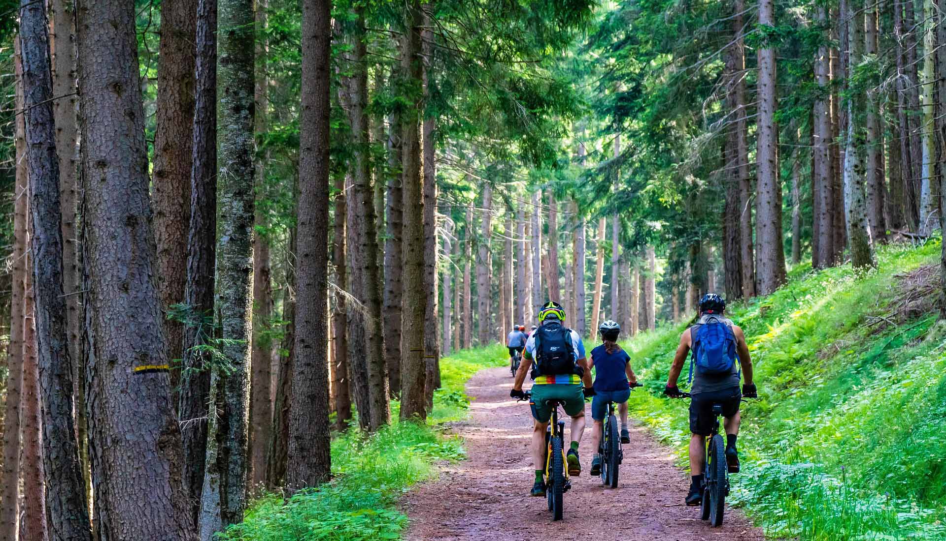 Group of cyclists riding through a forest trail on off-road bicycles | eMotoX Sports