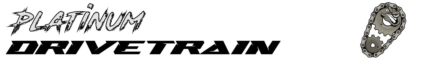 Platinum bicycle drivetrain service by eMotoX Sports including deep cleaning, precision adjustment, and wear inspection