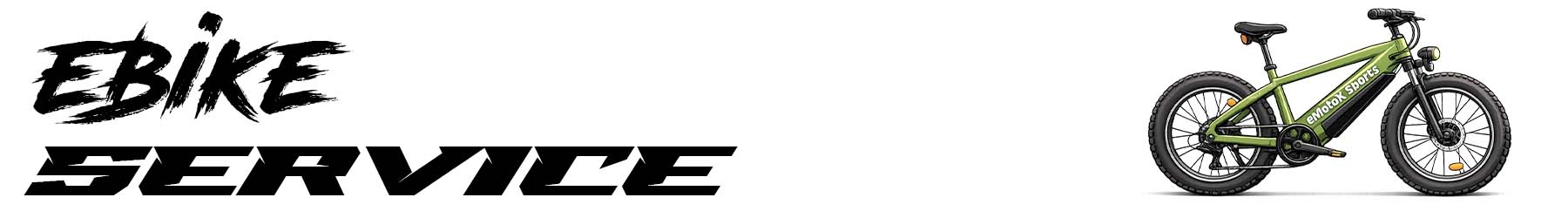 Professional eBike service and electric bike repairs by eMotoX Sports