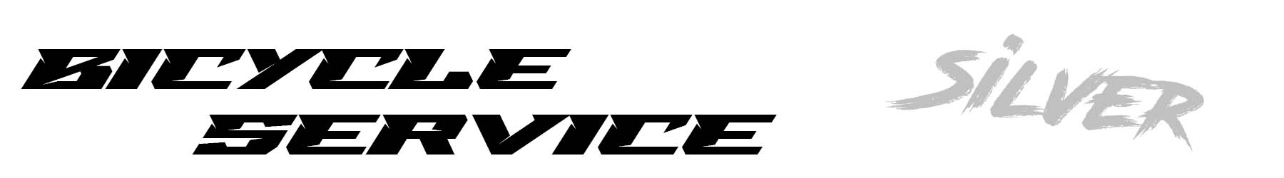 Silver bicycle service banner showing professional bike maintenance and tuning service - eMotoX Sports