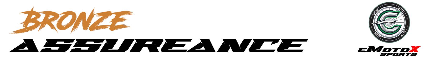 Bicycle Bronze Service final safety assurance and inspection check