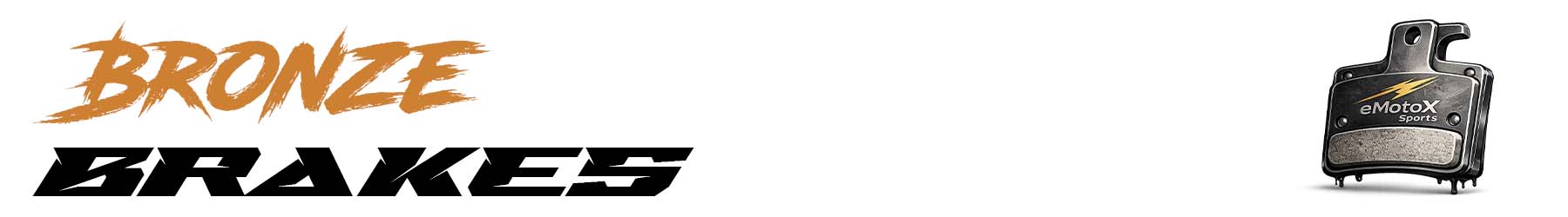 Bicycle Bronze Service brake inspection and safety check