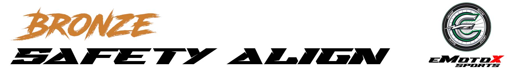 Bicycle Bronze Service safety and alignment check