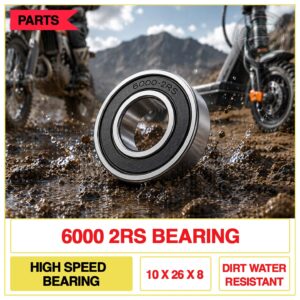 6000 2RS Bearings